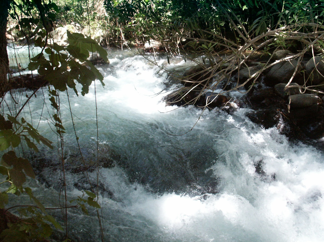 Banias Waterfall景点图片