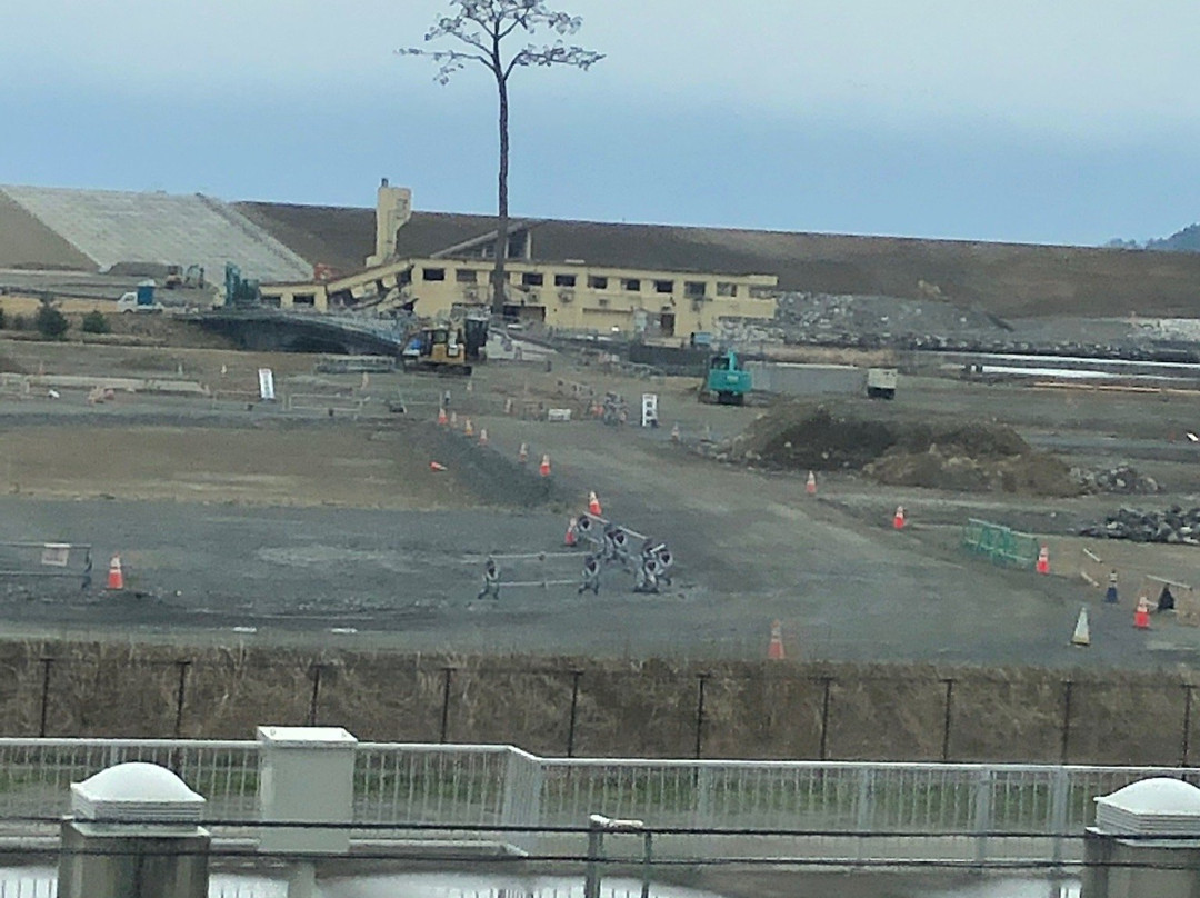 Miracle Lone Pine Tree-陆前高田市必去景点