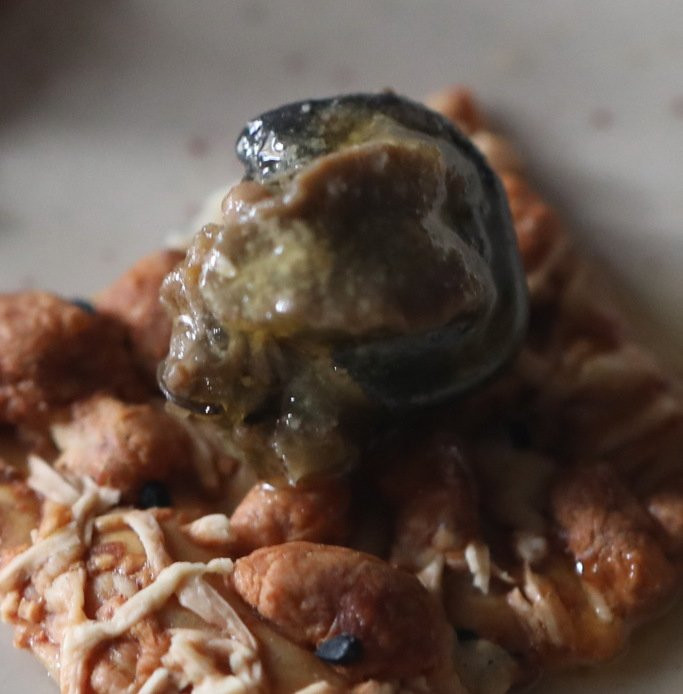 L'escargot des pres景点图片