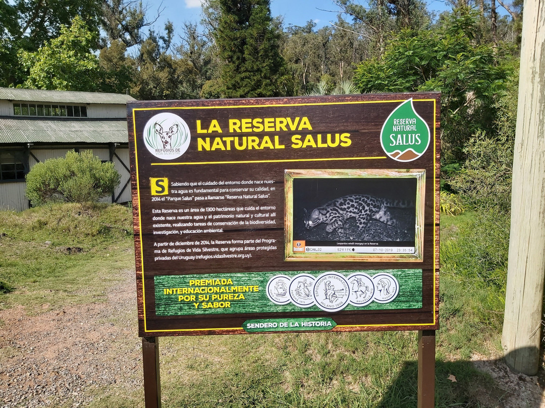 Salus' Park-Minas必去景点