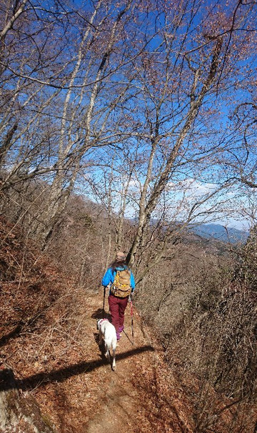 Mt. Mito-奥多摩町必去景点