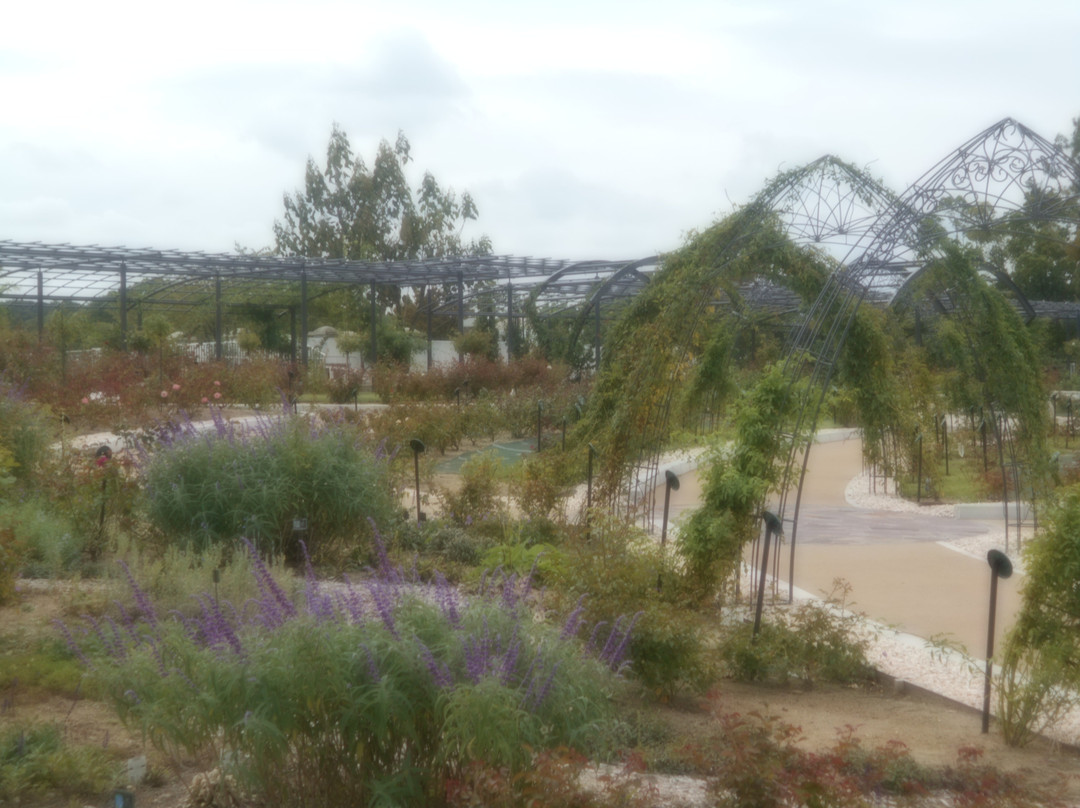 Rose Garden-吹田市必去景点