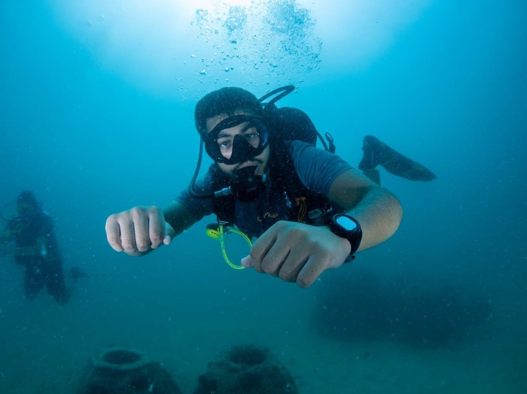 Dive Vision-Amwaj Islands必去景点