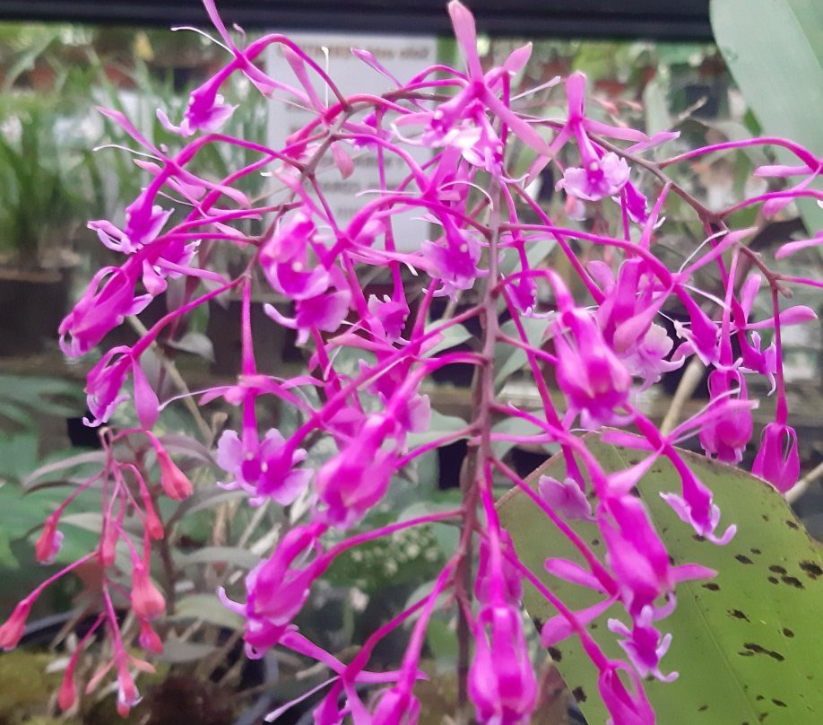 Agro Oriente Viveros-Moyobamba必去景点