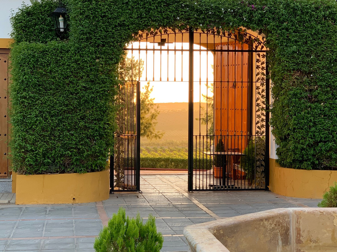 Hotel Bodega El Moral主图