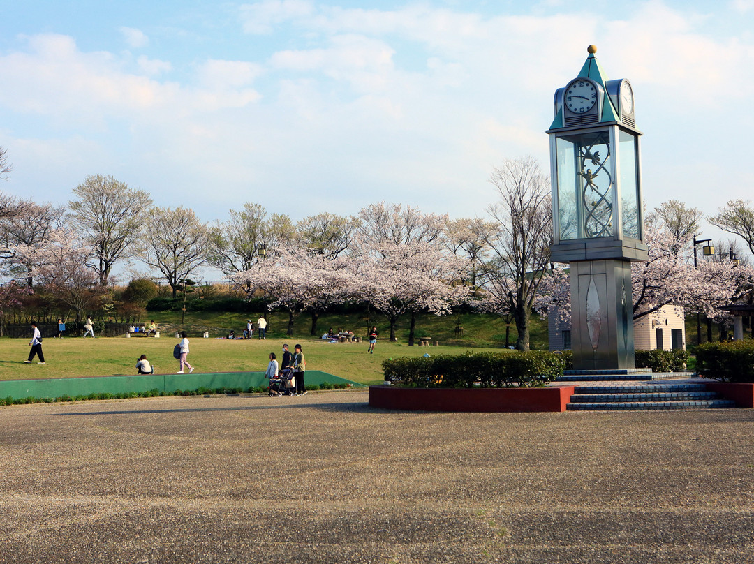 Fureai no Mori Aguichoyakuba景点图片