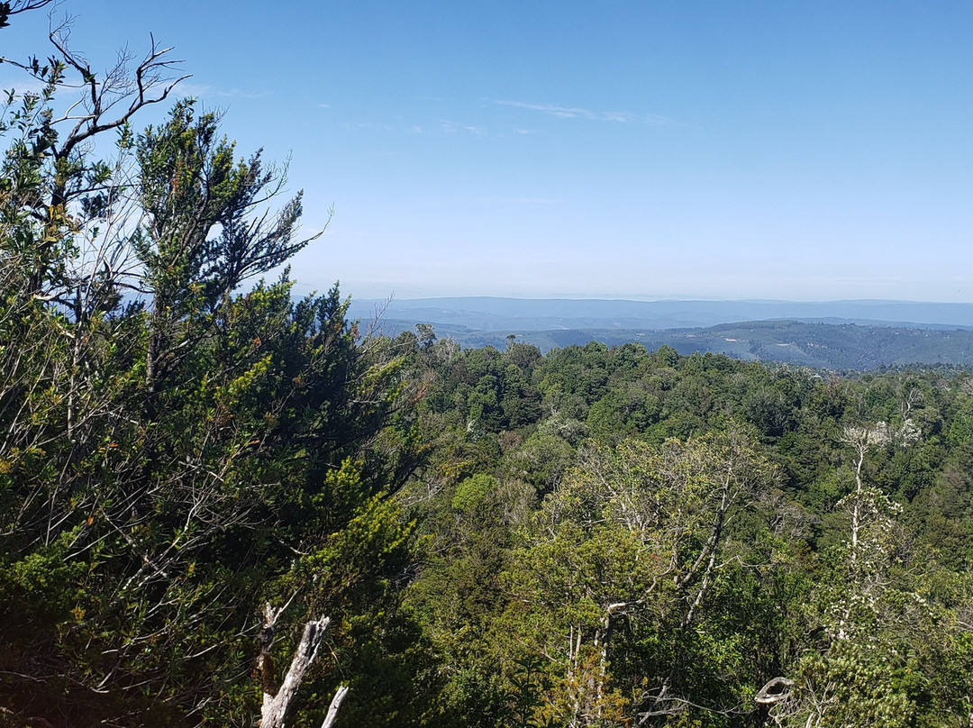 Parque Oncol-瓦尔迪维亚必去景点
