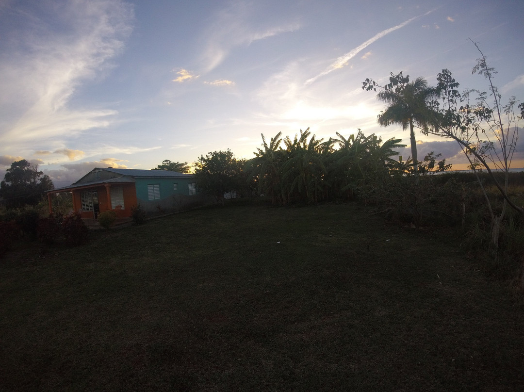 Palma Rubia旅游攻略图片