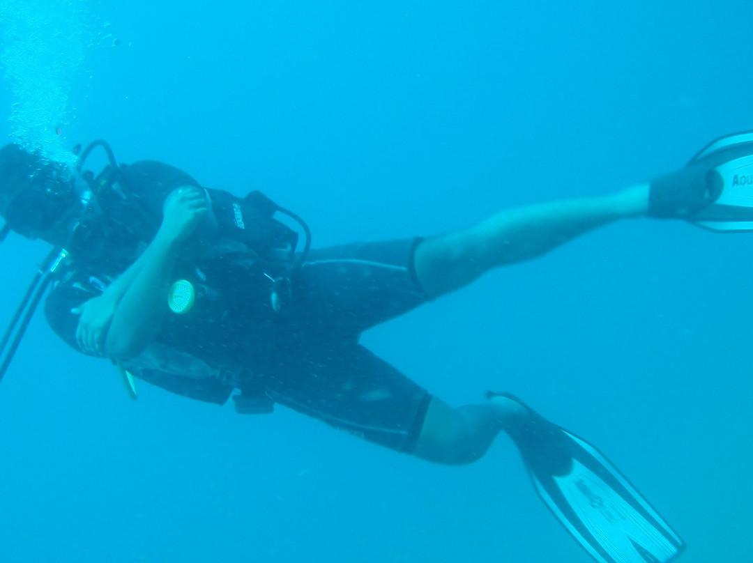 Sri Lanka Diving Tours - Negombo景点图片