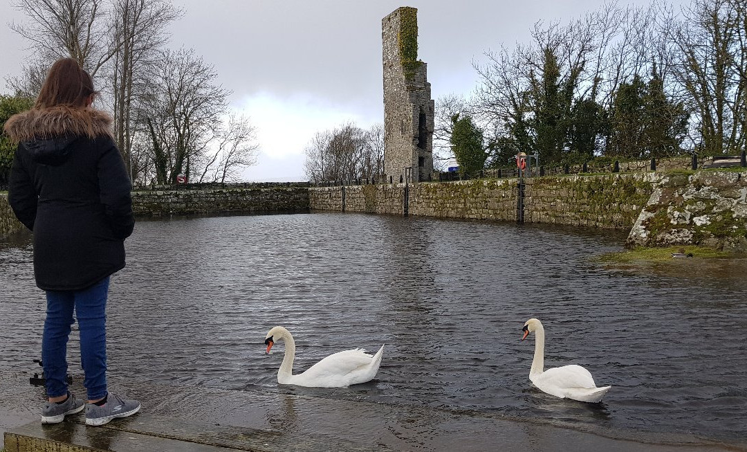 Garrykennedy Castle and Old Harbour-Garrykennedy必去景点