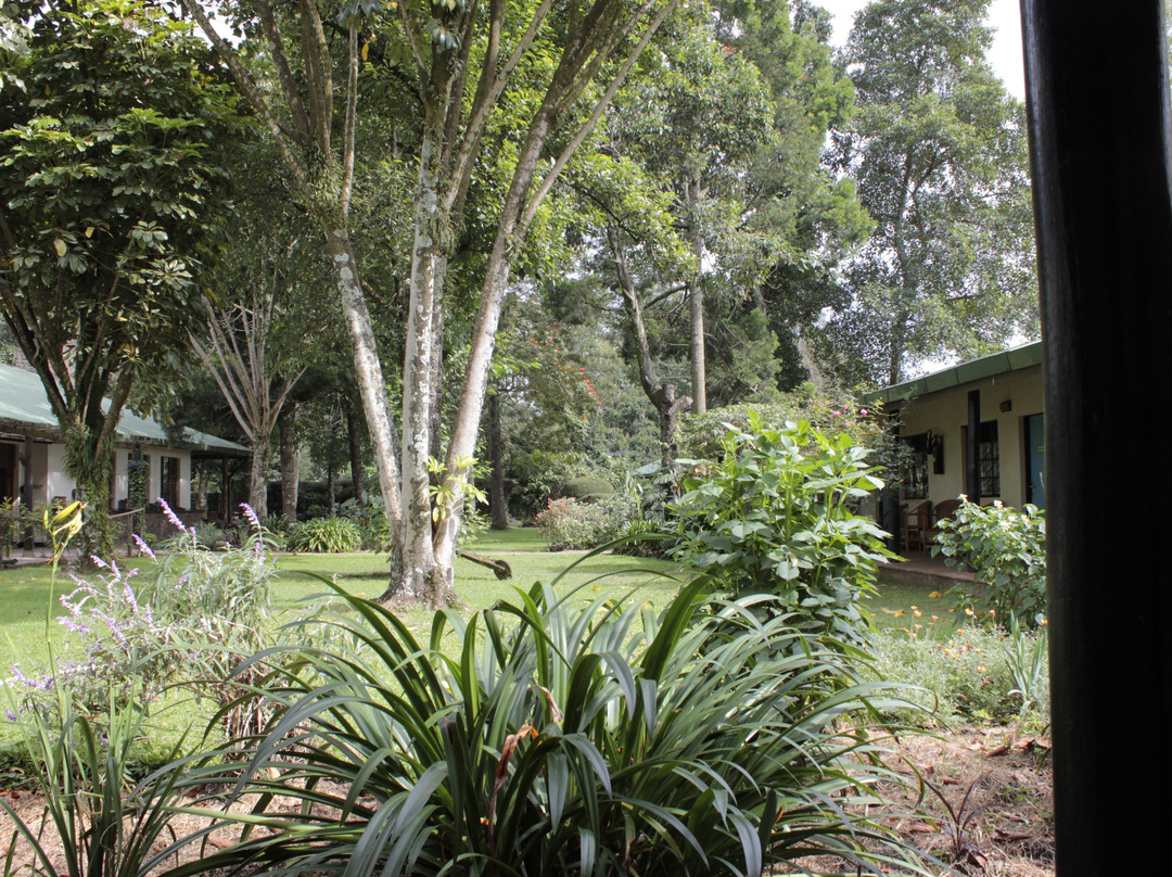 Traveler's Rest Hotel主图