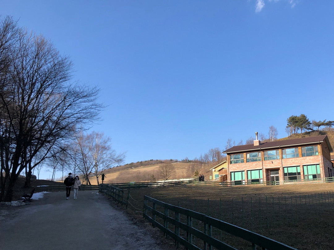 Daegwanryeong Yangtte Ranch-平昌郡必去景点