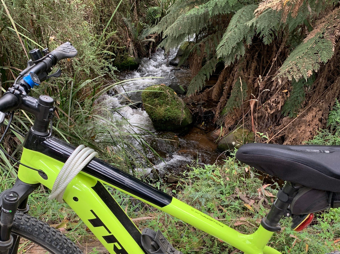 O'Shannassy Trail-华伯登必去景点