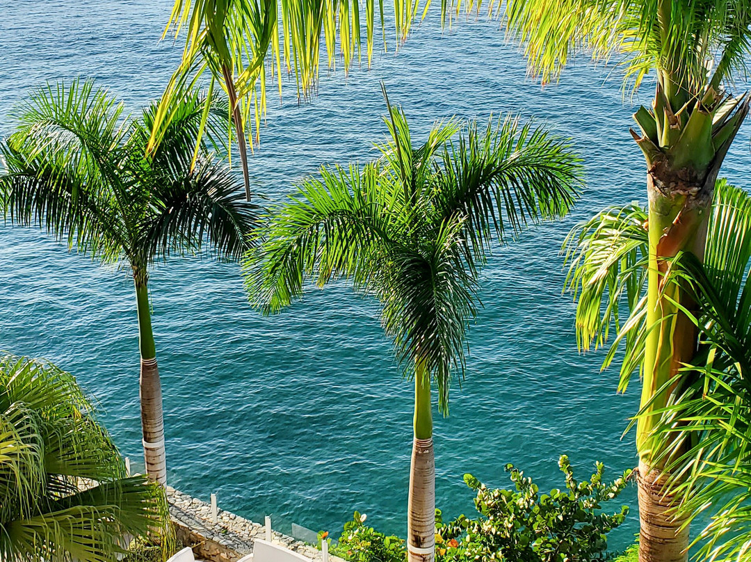 Bahia Principe Grand Samana主图