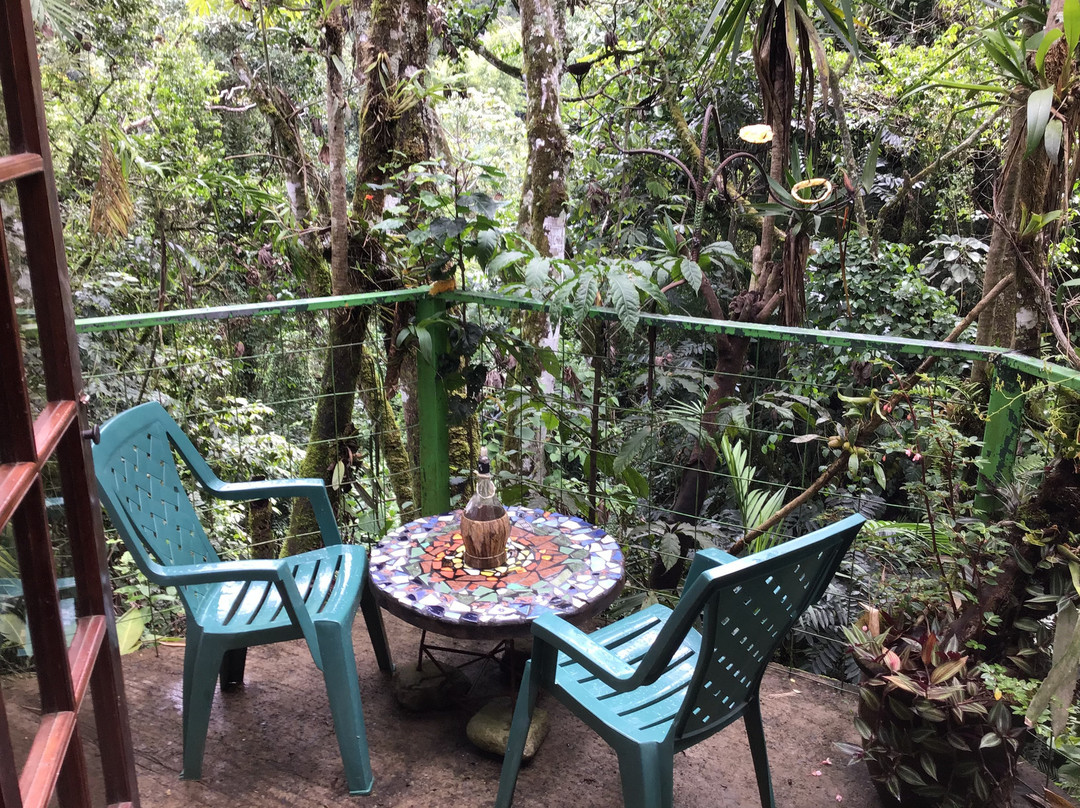 Casa Mariposa Nature Lodge主图