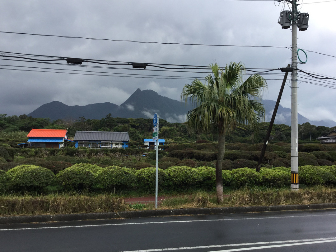 Yakusugi Takeda-屋久岛町必去景点