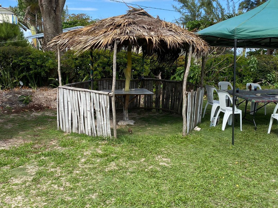 Taste of Jamaica Authentic Tour-奥乔里奥斯必去景点