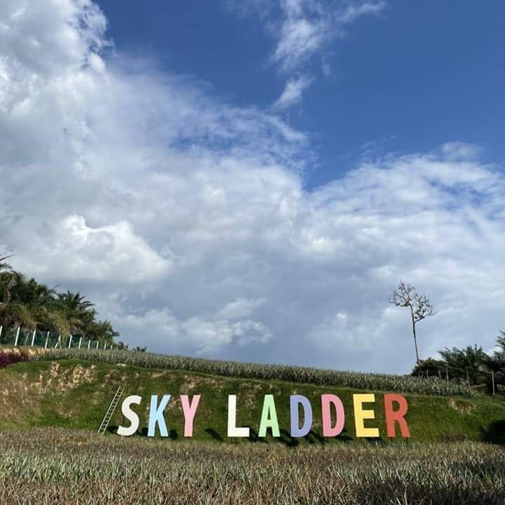 Sky Ladder Pineapple Farm景点图片