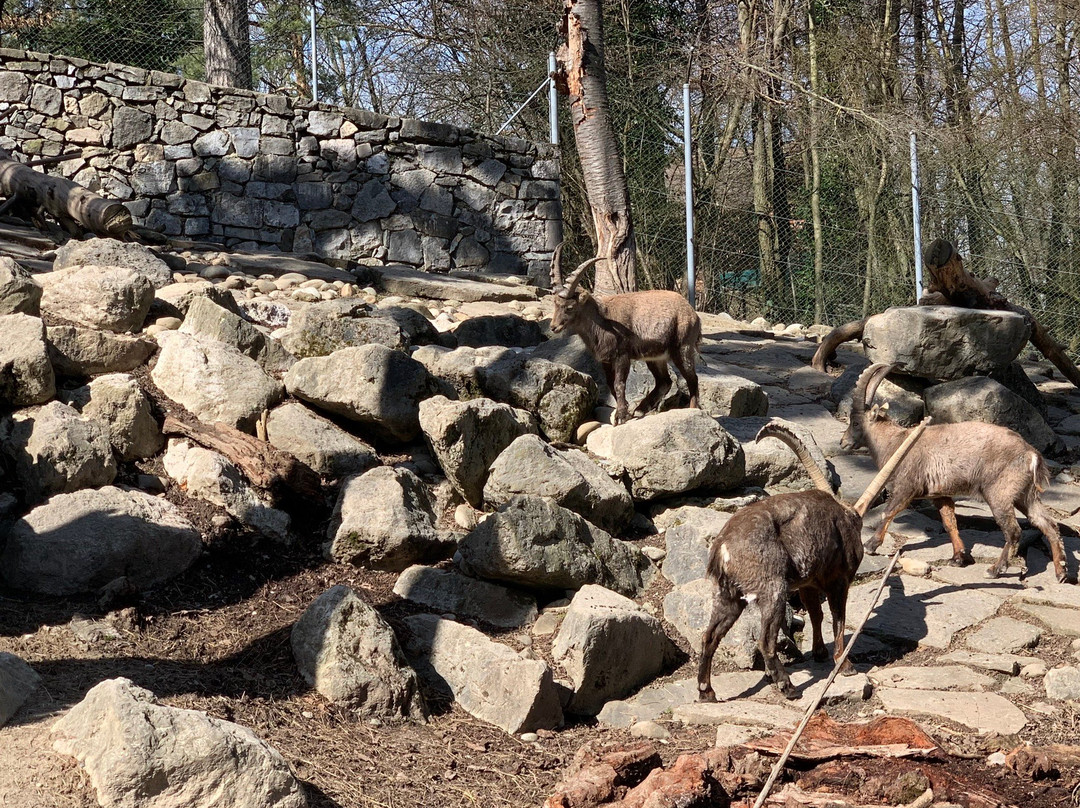 Parc aux animaux du Bois de la Bâtie-日内瓦必去景点