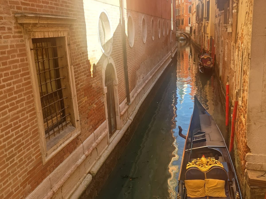 Stadtfuhrungen Venedig景点图片