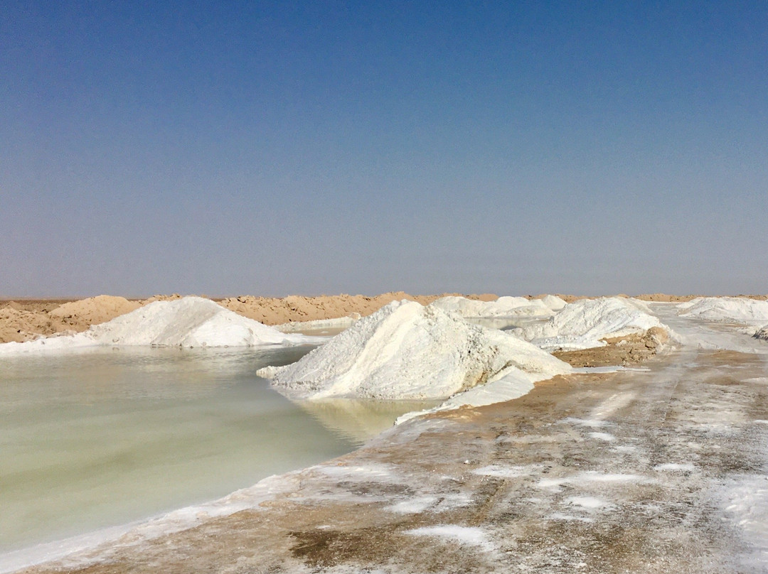 Varzaneh Desert景点图片