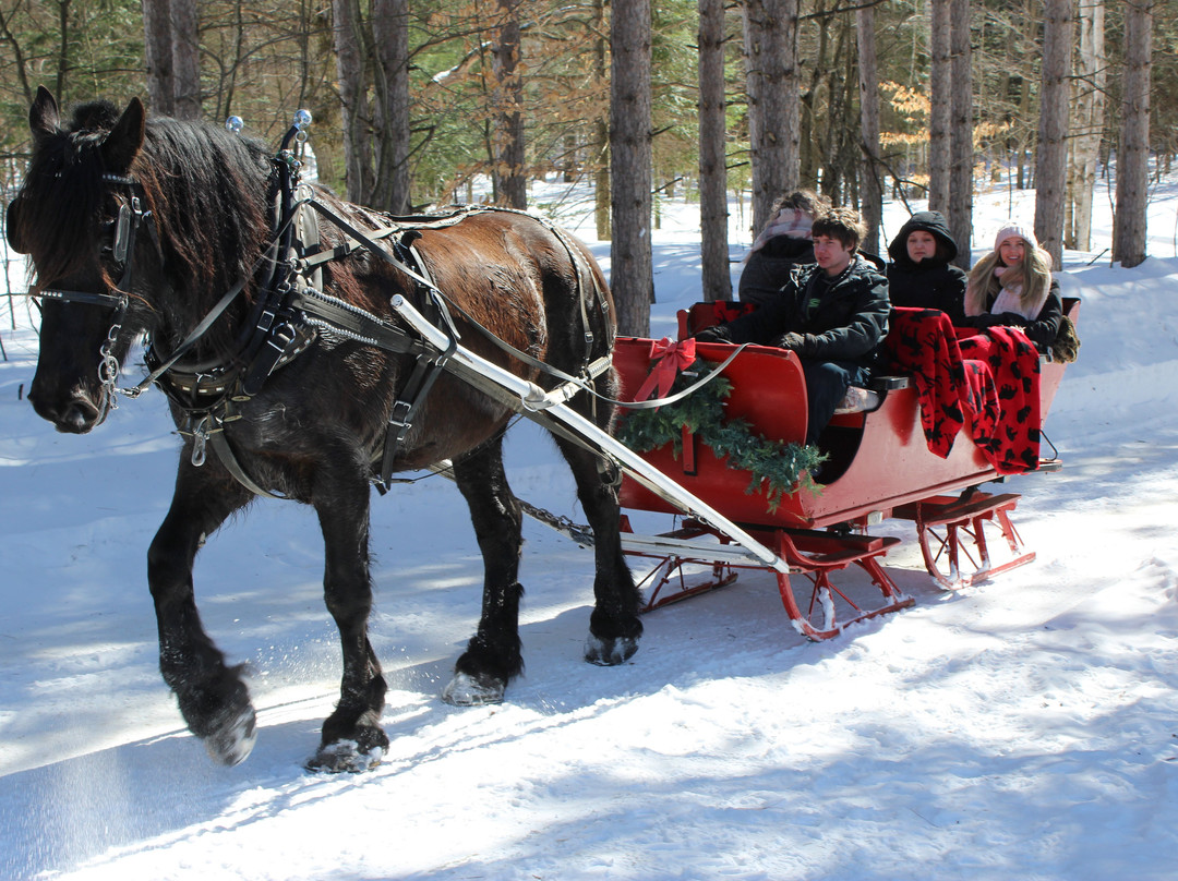Back of Beyond Equine Centre-亨茨维尔必去景点