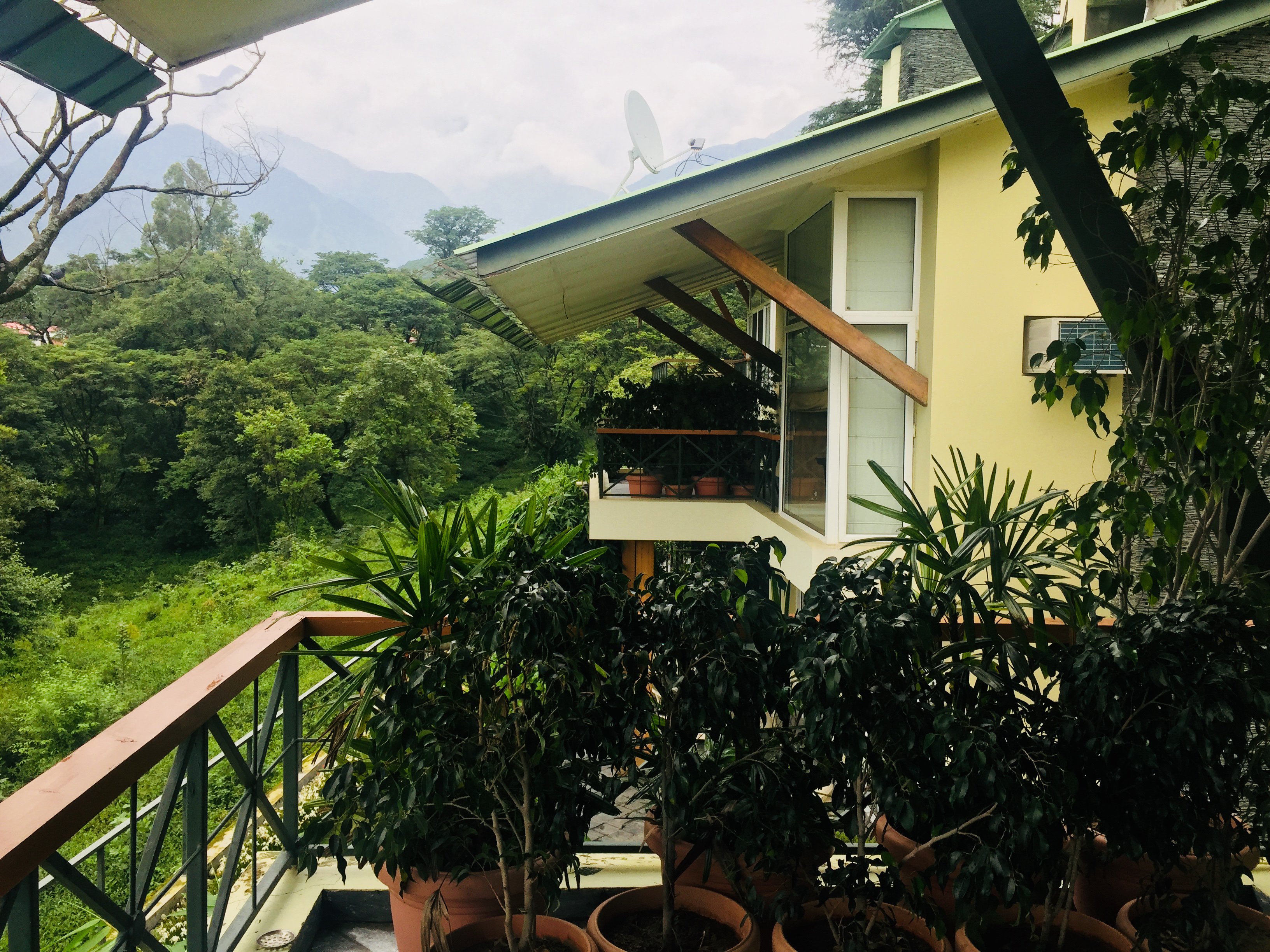 Lamrin Norwood Green Palampur-酒店景观