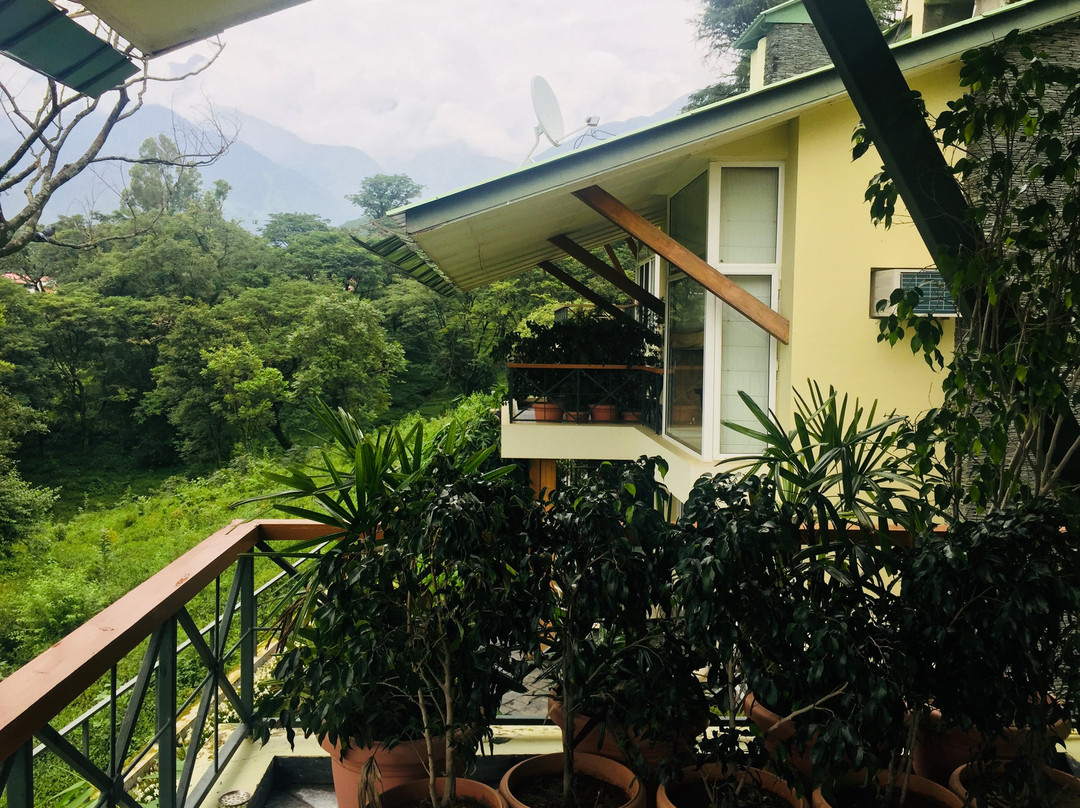 Lamrin Norwood Green Palampur主图