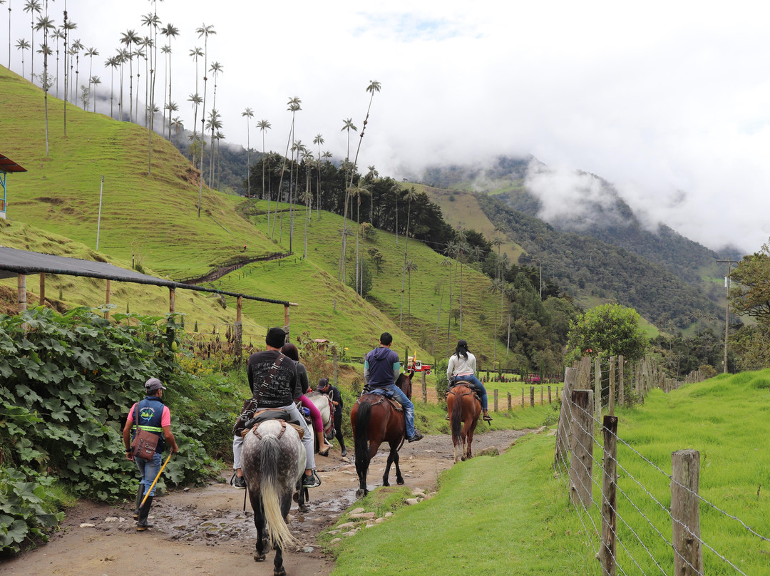 Travel JM-佩雷拉必去景点
