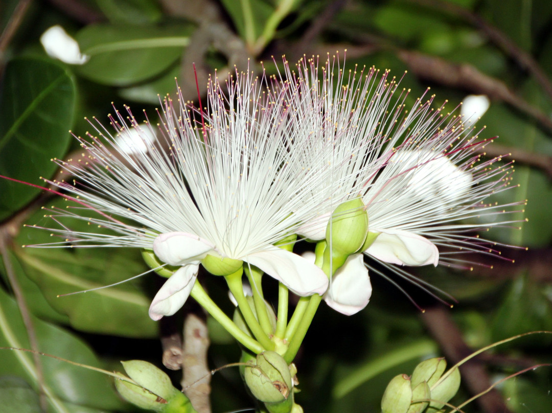 Miridiya Lake Resort主图