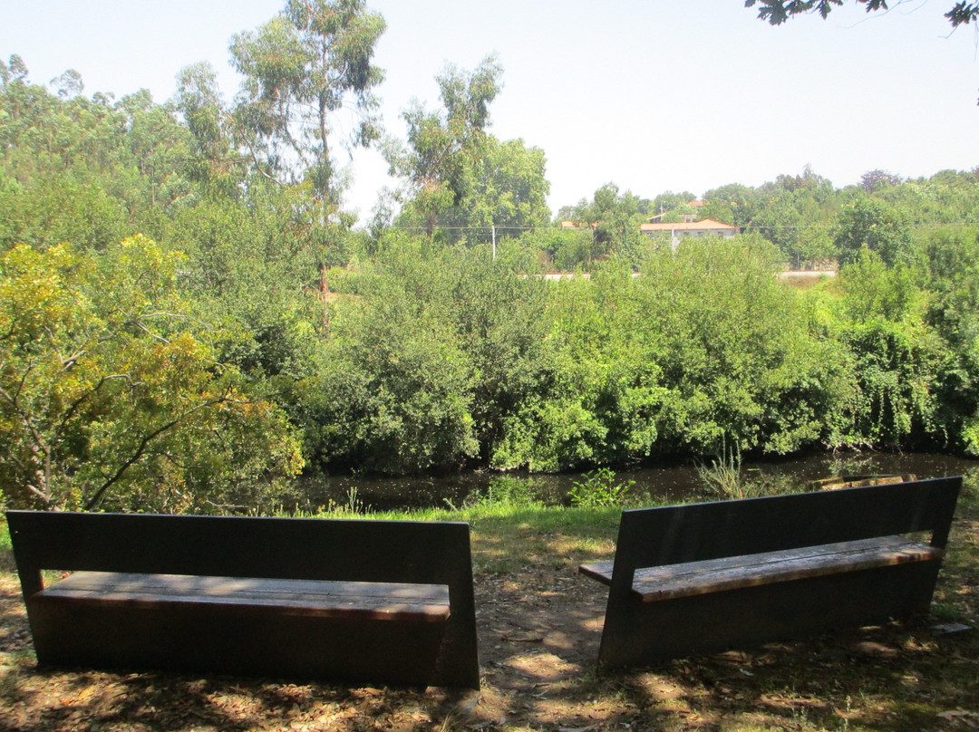 Parque Urbano Sara Moreira景点图片