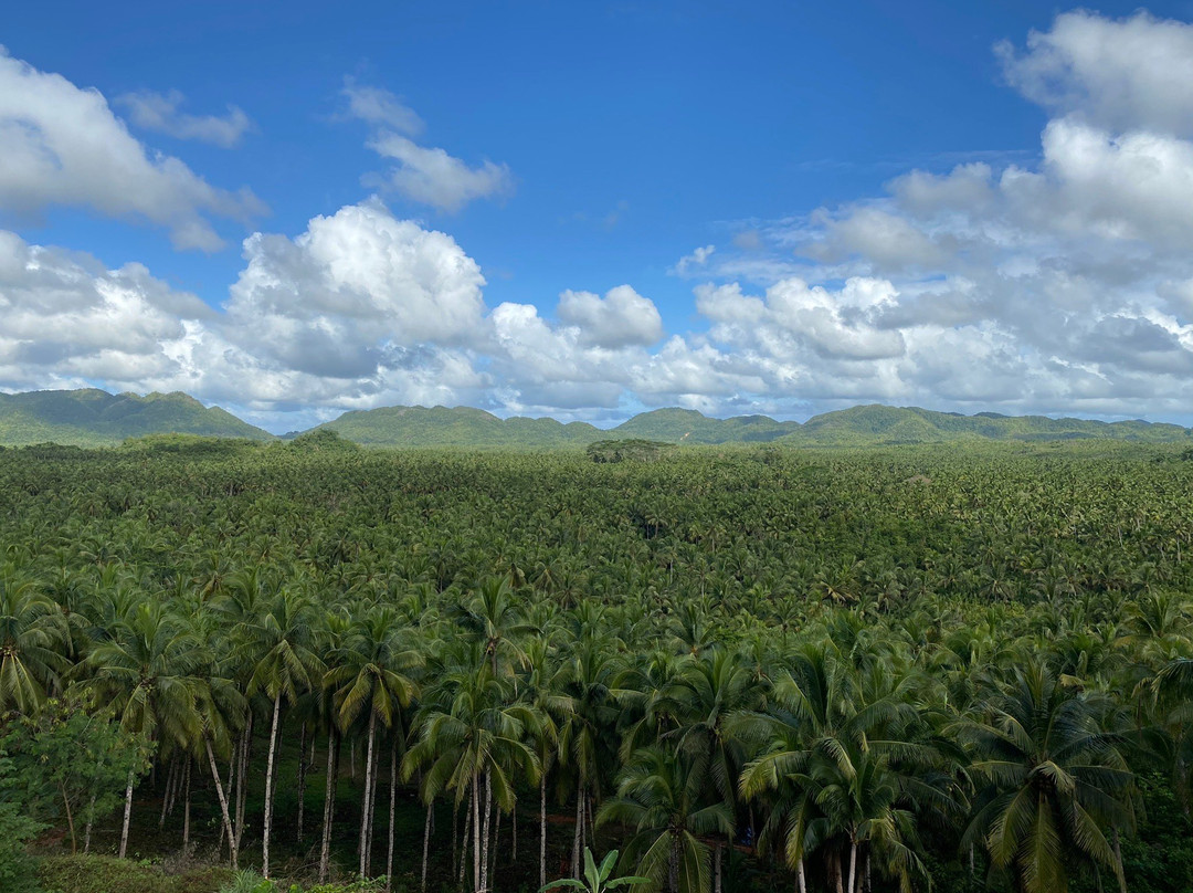 Coconut Trees View Deck-Dapa必去景点