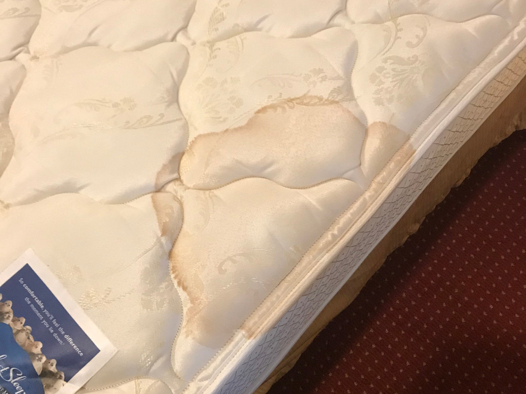 Best Western Plus Canyon Pines主图