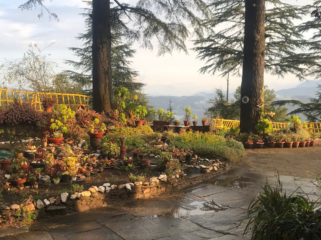 Deodar's Guest House主图