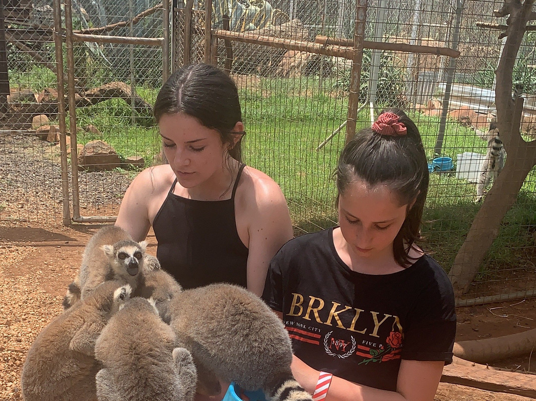 Akwaaba Predator Park-鲁斯登堡必去景点