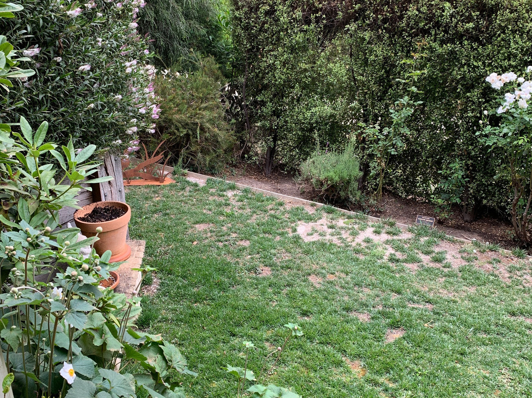 Birches of Daylesford主图