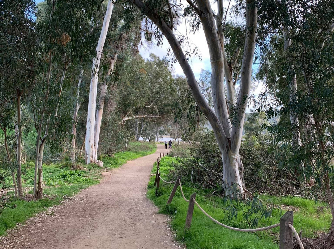 Batiquitos Lagoon-卡尔斯巴德必去景点