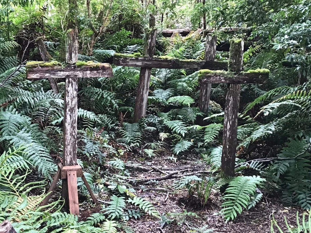 Isla de los Muertos-Tortel必去景点