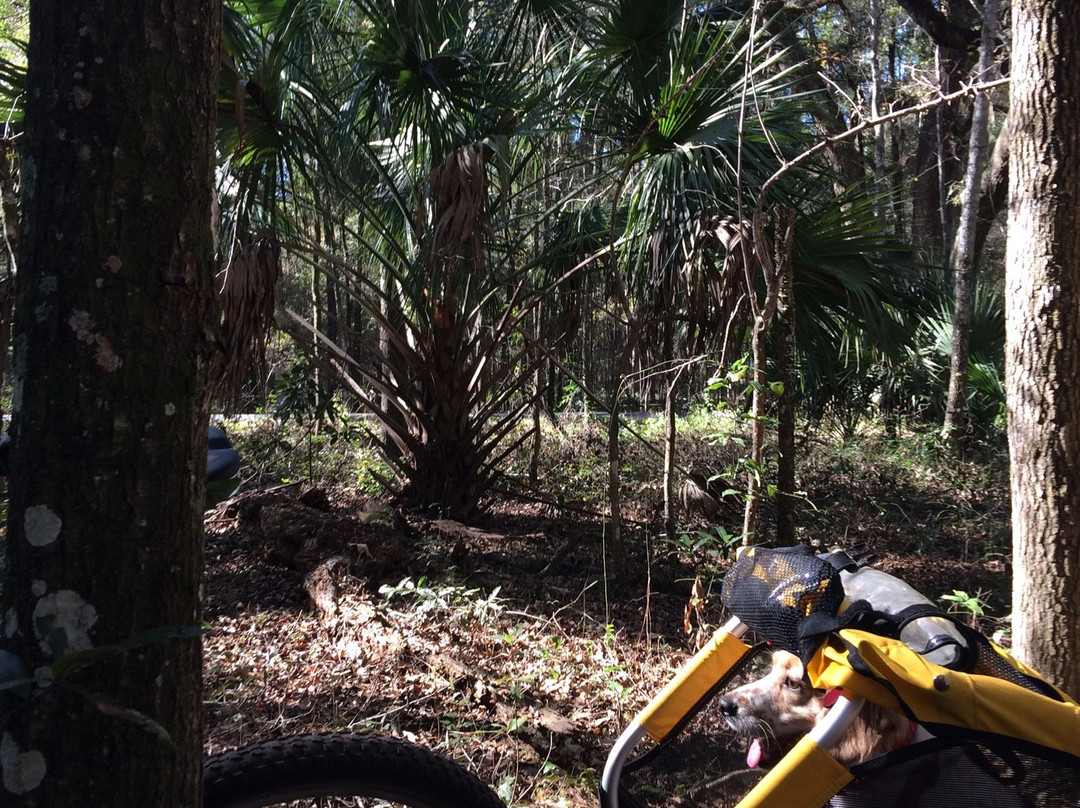 Santos Trailhead & Campground-奥卡拉必去景点