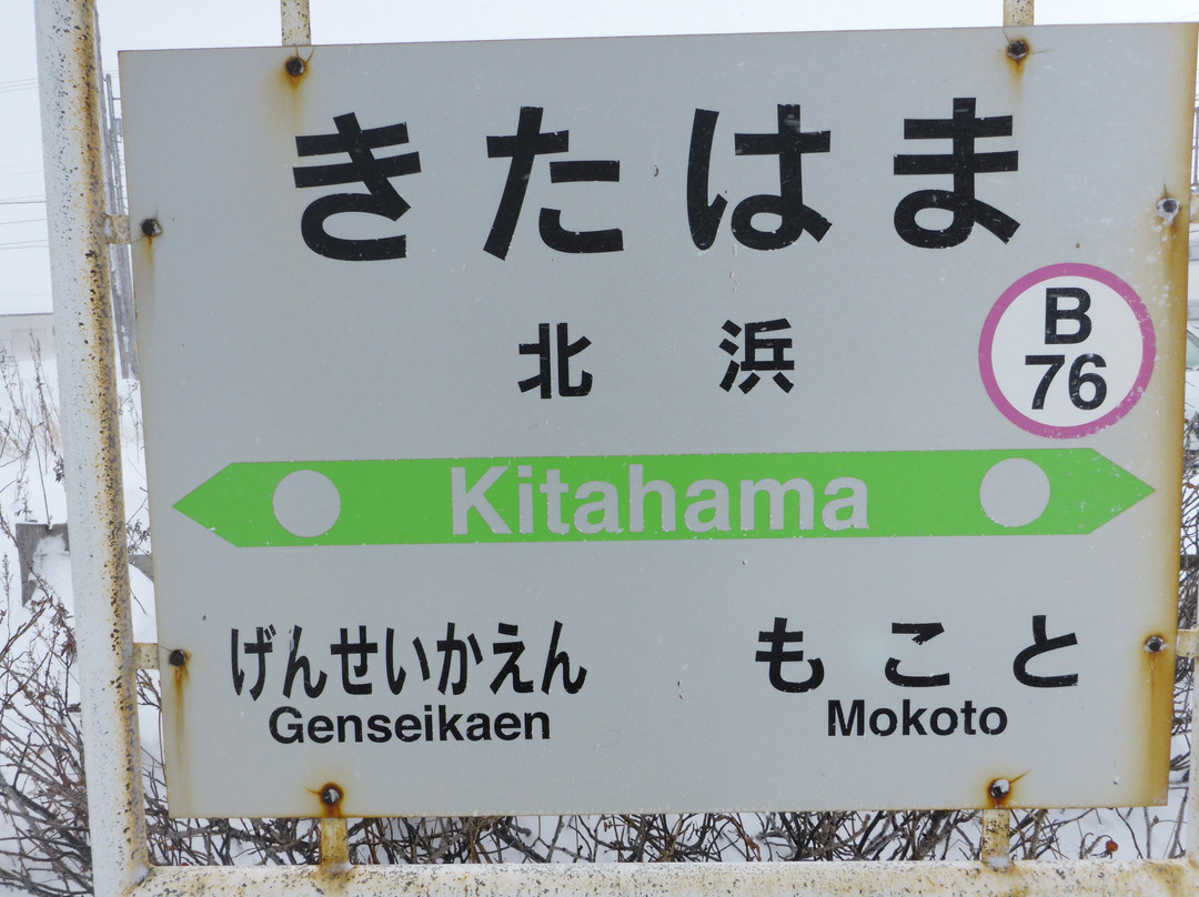 Kitahama Station景点图片