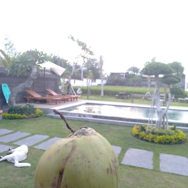 Padi Padi Canggu Luxury Room主图