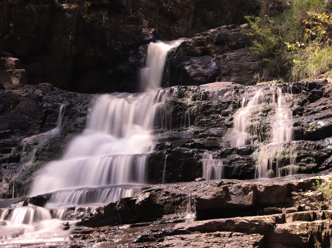 Turton Creek reserve-福斯特必去景点