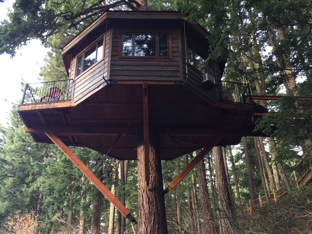 Skamania Coves Resort主图