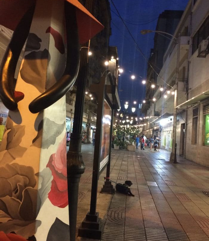 Zona Colonial-圣多明哥必去景点