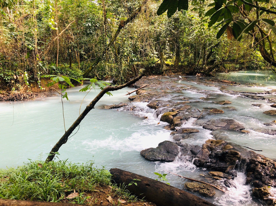 Parque Natural Villaluz-Tapijulapa必去景点