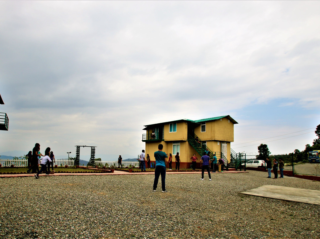 Nest And Hives主图