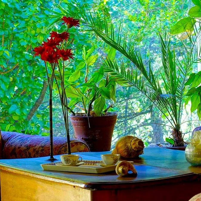 Posada La Lucia主图