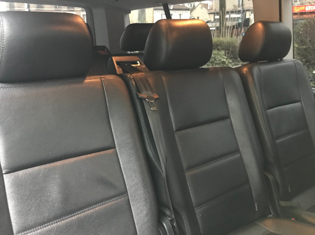 Paris Private Transfer Cabs-巴黎必去景点