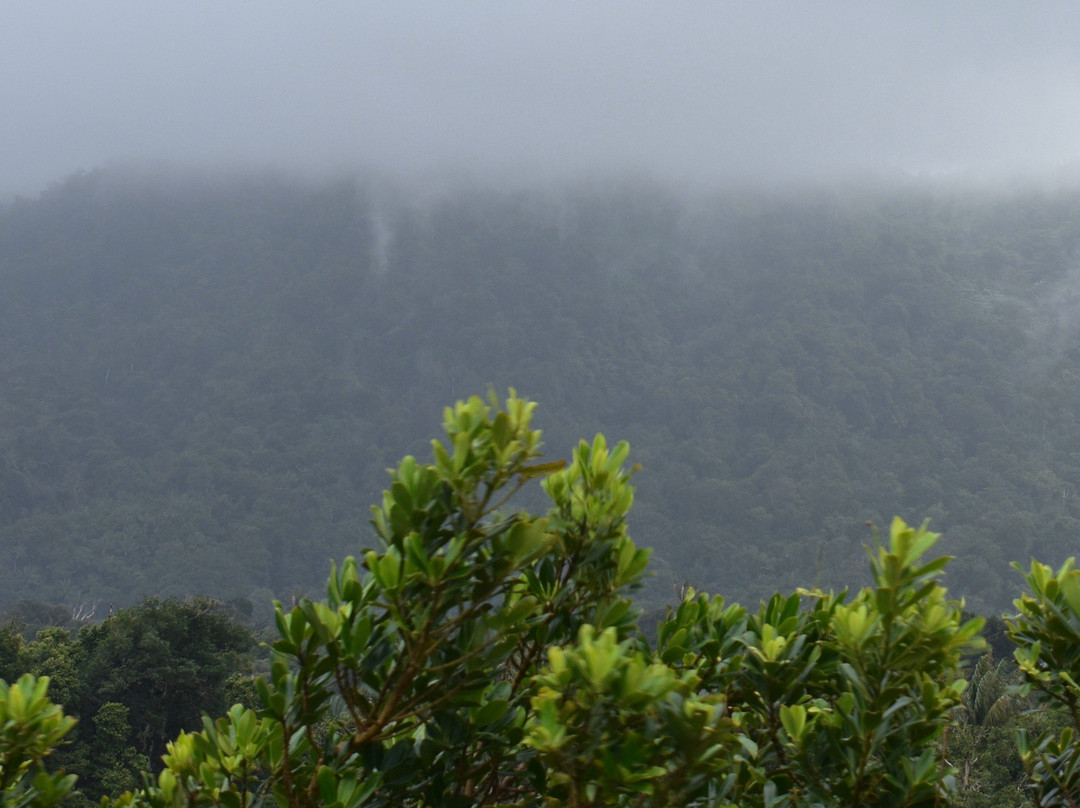 Grand Etang Shoreline Trail-Grand Etang National Park必去景点