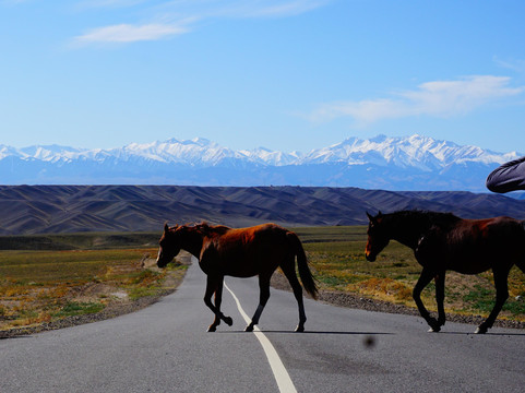 Silktravel.kz-阿拉木图必去景点